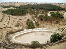 Corbeille and palmeraie, Nefta