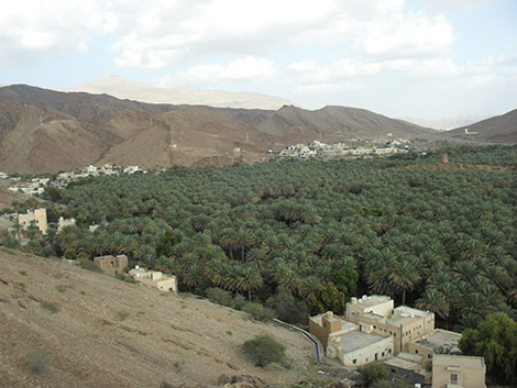 Barkat al Mawz, Oman