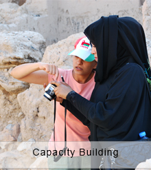 Capacity Building